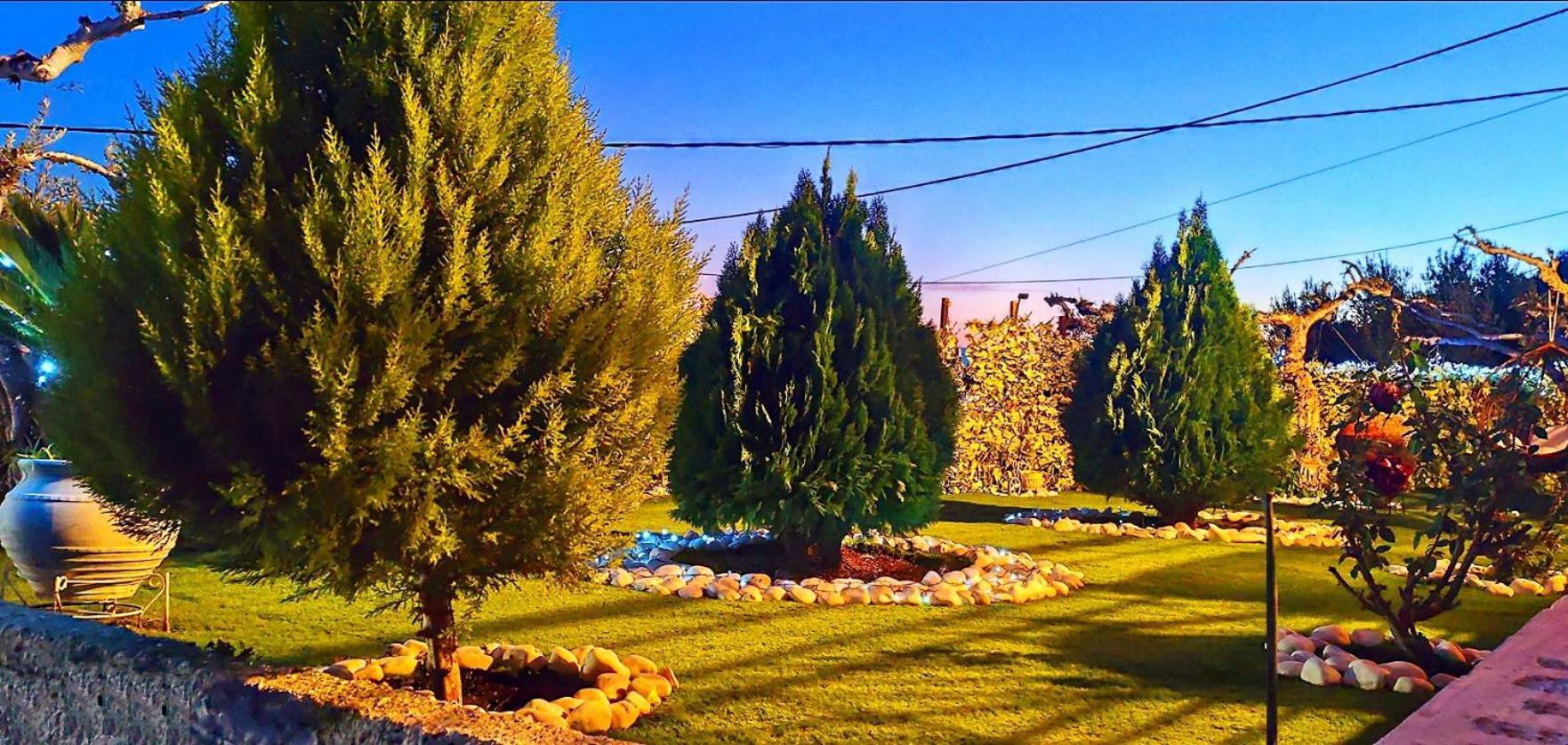 Cozy House With Amazing View! Apartamento Loutra Edipsou  Exterior foto